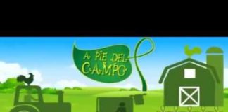 A PIE DEL CAMPO 54