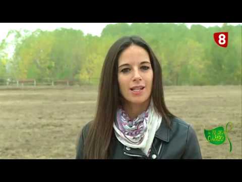 A PIE DEL CAMPO 21/10/2017