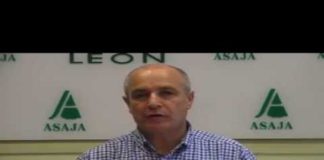 Campo Leónes TV 43 – 05/07/2013