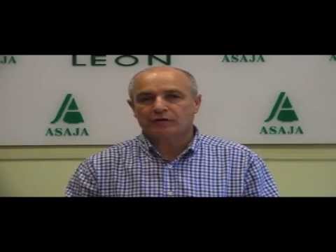 Campo Leónes TV 43 – 05/07/2013