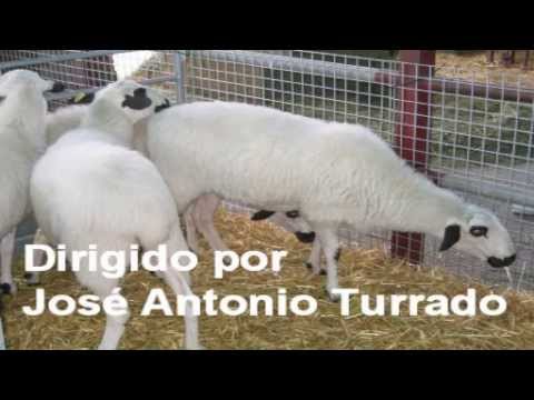 Campo Leónes TV 42 – 28/06/2013