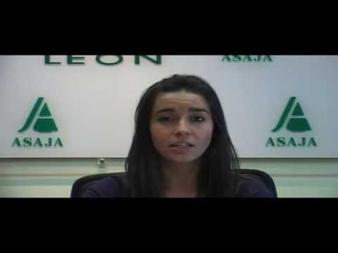 Campo Leónes TV 41- 14/06/2013