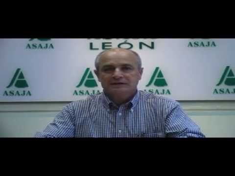 Campo Leonés TV 40 – 07/06/2013