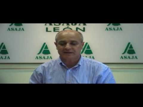 Campo Leonés TV 39 – 31/05/2013