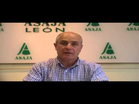 Campo Leonés TV 37 – 10/05/2013