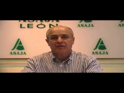 Campo Leonés TV 36 – 03/05/2013