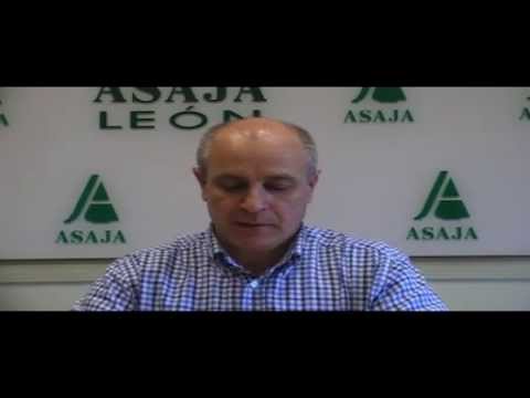 Campo Leonés TV 34 – 19/04/2013