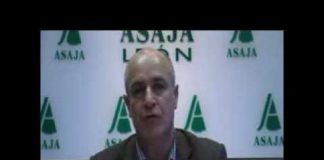 Campo Leonés TV 31 – 22/03/2013