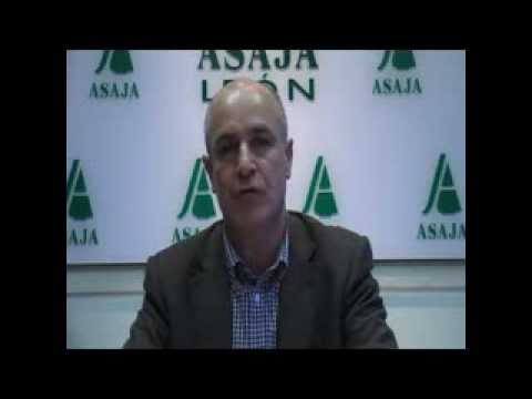 Campo Leonés TV 31 – 22/03/2013