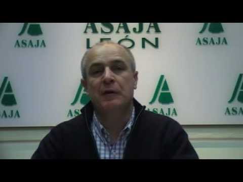 Campo Leones TV 30 – 15/03/2013