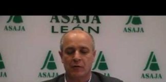 Campo Leónes TV 29- 08/03/2013