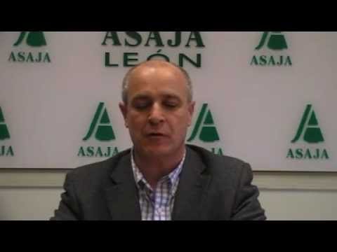 Campo Leónes TV 29- 08/03/2013