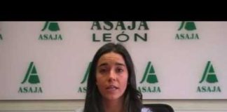 Campo Leónes TV 28- 01/03/2013