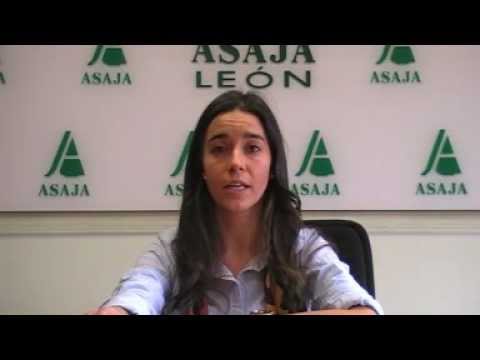 Campo Leónes TV 28- 01/03/2013