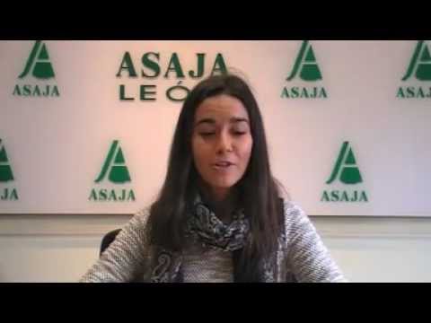 Campo Leónes TV 27- 22/02/2013