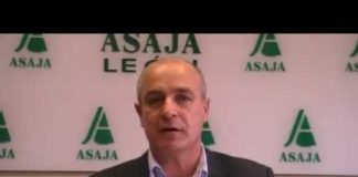 Campo Leónes TV 26 – 15/02/2013