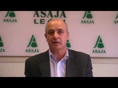 Campo Leónes TV 26 – 15/02/2013