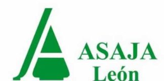 Campo Leónes TV 25 – 08/02/2013