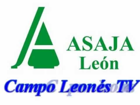 Campo Leónes TV 25 – 08/02/2013