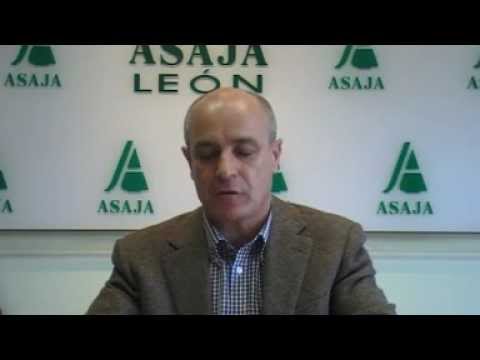 Campo Leonés TV 24 – 01/02/2013