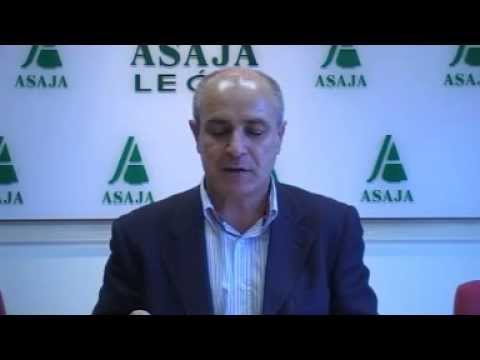 Campo Leonés TV 23 – 25/01/2013