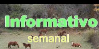 Campo Leonés TV 22 – 11/01/2013