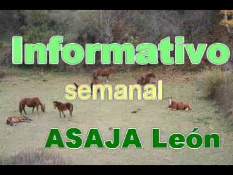 Campo Leonés TV 22 – 11/01/2013