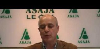 Campo Leónes TV 21 – 28/12/2012