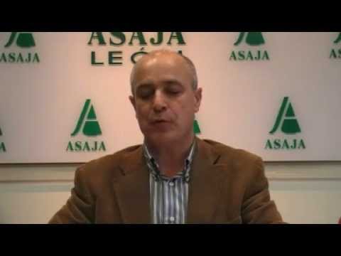 Campo Leónes TV 21 – 28/12/2012