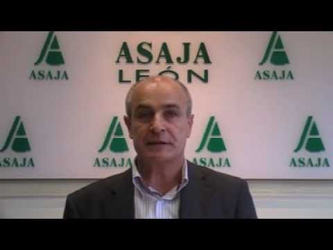 Campo Leónes TV 20 – 21/12/2012