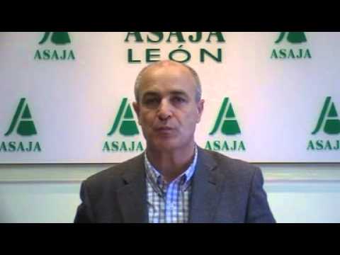 Campo Leonés TV 19 – 07/12/2012