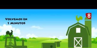 A PIE DEL CAMPO 28/10/2017