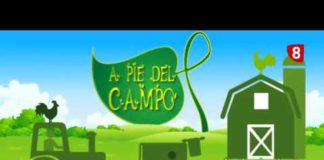 A PIE DEL CAMPO 174