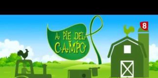 A PIE DEL CAMPO 152