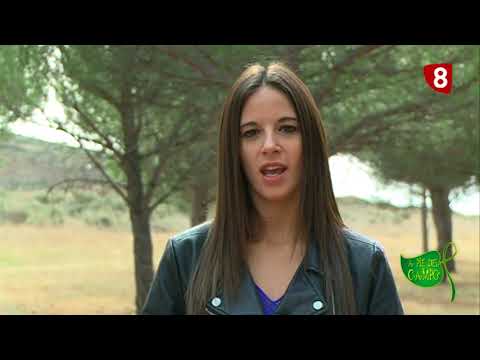 A PIE DEL CAMPO 23/09/2017