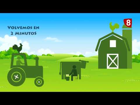 A PIE DEL CAMPO 02/09/2017