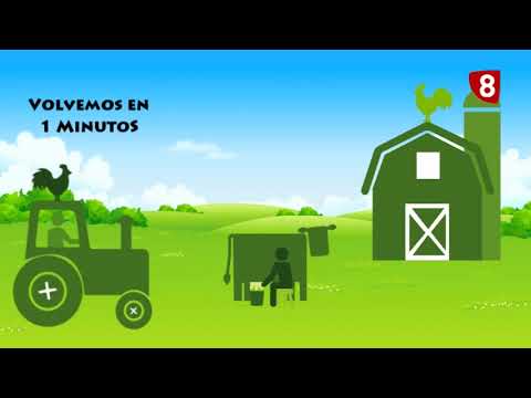 A PIE DEL CAMPO 28/10/2017