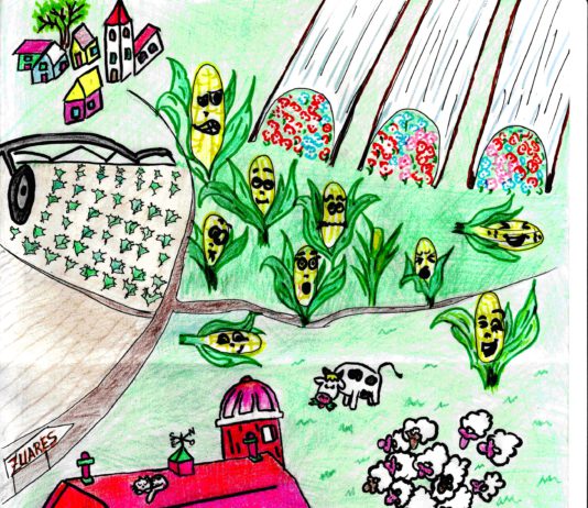 FALLADOS LOS CONCURSOS DE ASAJA PARA NIÑOS Y JÓVENES, PATROCINADOS POR CAJAMAR