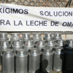Reparto leche Omaña 2008