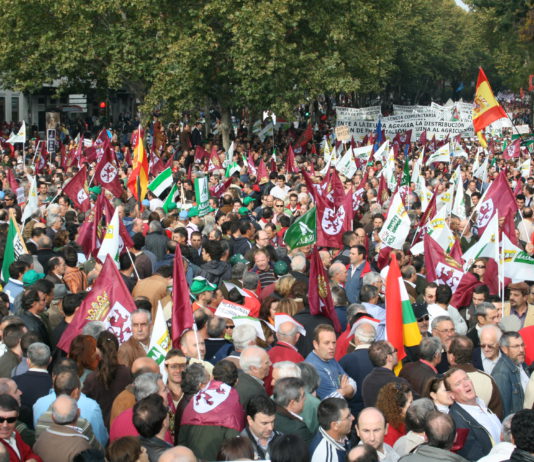 Declaración ante la movilización convocada por la Unión de Uniones (UCCL) para el día 11 en Madrid Manifestación Madrid - "El campo se arruina - Exigimos soluciones" - Madrid 21 de noviembre de 2009
