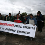 Manifestación vacuno leche