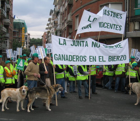 PROTESTA DE LOS GANADEROS BERCIANOS