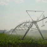 Licitación arrendamiento de 90 hectáreas en Villomar pivot