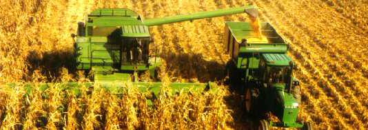 ASAJA PIDE AUTORIZACIÓN PARA PODER QUEMAR, POR MOTIVOS EXCEPCIONALES, LOS RASTROJOS DE MAIZ