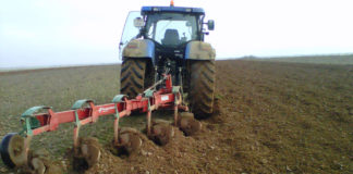 Hay que dejar muestra si se labran fincas de vezas Arando tierra