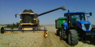 Los mercados internacionales marcan la tendencia alcista en el mercado de futuros del trigo Cosechar