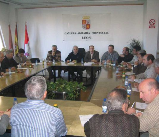 MANIFIESTO DE APOYO A LOS REGADIOS DE LEON