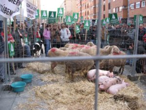 Los Reyes Magos en Valladolid 4-1-2008