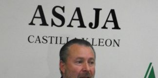 2013: EL REMONTE DE PRECIOS GANADEROS Y LAS PRODUCCIONES AGRÍCOLAS SALVAN LA RENTA AGRARIA PESE A LOS RECORTES DE LAS ADMINISTRACIONES