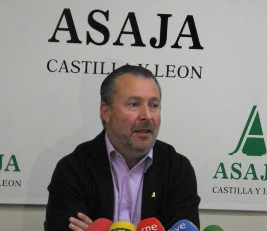 2013: EL REMONTE DE PRECIOS GANADEROS Y LAS PRODUCCIONES AGRÍCOLAS SALVAN LA RENTA AGRARIA PESE A LOS RECORTES DE LAS ADMINISTRACIONES